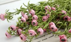 如何用欢乐的语句提升心情：分享一些简短但带笑容的句子