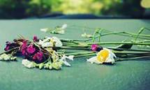 用动作描绘亲情的例句：通过生动描写身体行动来展现家庭协作、关爱与扶持的情感互动