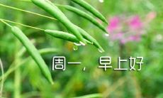 分享生活中积极向上的周一句子和图片：鼓励早起的正能量周一问候语