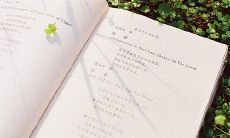 感到情绪混乱和不愉快的心境：一种生理和心理上的困扰