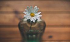 体现亲情关怀的深刻句子集锦