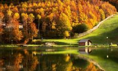 探讨亲情与健康的紧密联系：家庭持续关爱对身心健康的积极影响