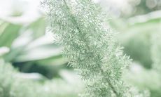 在人际关系中，亲情是至高无上的，它胜过了一切其他因素的影响