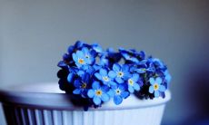 8个令人烦躁的英语句子，让你的头都快炸了