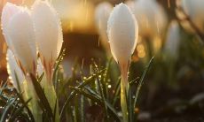 七夕浪漫爱情节，分享让女友欢喜的话语，深情寄语七夕爱情缘