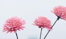 成功减肥后的快乐心情：一个让人开怀欢笑的自我肯定！