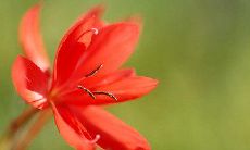 涵盖各种场景和情况的真诚问候客户短信集锦