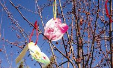 精选适用于亲人的特别问候短信，让你更好地表达爱和关怀