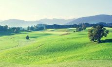 分享一些让人感受到幸福的心情短语