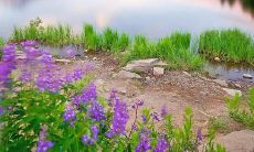 跨越困难，共创未来，飞跃团队的8字押韵口号