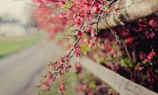 掌握自我平静技巧的重要性——提升心理稳定的有力语句