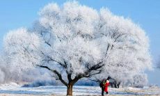 描述：一场初雪，如诗如画，恰似飞雪中的浪漫画卷，闻风而来，伴随着丰富多彩的景象和动人的意境，营造出一种神秘而又优美的氛围，让人沉醉于其中，思绪纷乱，难以自拔