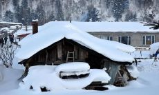 四季变幻，美丽无垠：翩跹春意，炎炎夏日，金秋霁月，冰封寒冬