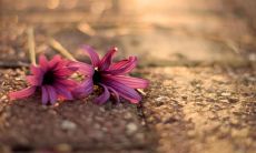 “美好幸福的感受：携手亲情之情洋溢心头”的改写标题