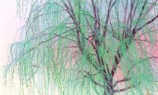 让我们多多聚聚，继续续写姐姐友情的美好故事