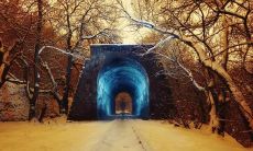 发掘珍贵的同窗情谊：感悟友谊的真谛并珍爱长久不变的同学情