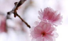 以友谊为杯，干杯畅饮：表达深厚友情的绝佳句子