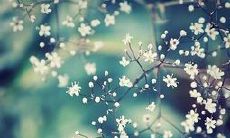 Reflecting on Memories of Friendship: Sentences that Evoke Emotion in English