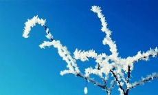 激励人们分享幸福的句子，祝福他人感到快乐和满足