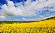 刚到一个新环境，被新奇事物所吸引而感到欣喜的心情表达