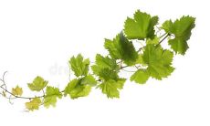 一些可用于安慰心灵受伤者的句子，以帮助他们走出忧伤和不开心的情绪