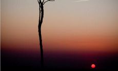 展现友情美好时光的美丽词句