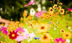 一份浪漫无限的520周末短信问候语大全