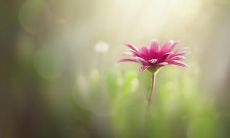 双喜临门：同时收获爱情和友情的幸福感言