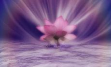 20个让人感受到友情之美的优美英语句子