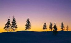 送给即将分别的朋友们：收录了多重层次、情感丰富的友情句子大全