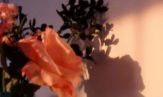 利用优美之辞的技巧，创造一个长长的标题，振聋发聩： 拥有引人入胜之文采，令人感受深邃情感，耐人寻味的句子改编