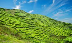 展现集团最佳销售团队的优秀口号： 鼓舞人心的口号是销售优异的关键！