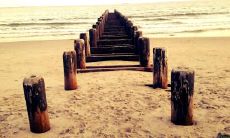 在每个人的不同阶段，鼓舞士气和激励自己的生活励志句子都是必不可少的，以下是一系列能够激发内心力量并推动前进的励志语句