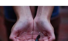 这些令人心碎到美哭的美丽句子