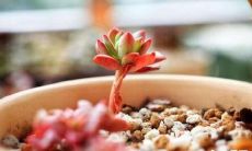 掌握Ins格调的必备技能——学会使用有格调的日常句子