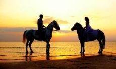 时间的相处不一定能经得起友情的考验