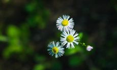 通过领悟奋发励志的名言警句，激发自我潜能，迈向成功的道路