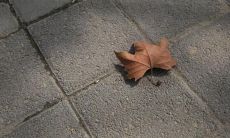 深感心痛的语句，令人异常感伤