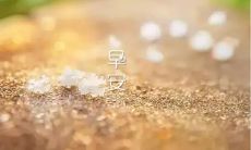 用温暖的话语向你问候的特别早安句子