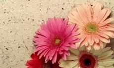 精选唯美句子，分享立夏留下的深情说说