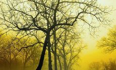 100多句精辟哲理句子汇集，来自《小王子》的句句经典牢记！