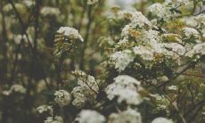 A Collection of Simple English Sentences about the Significance and Importance of Family Bonds and the Power of Unconditional Love in Nurturing Strong Relationships and Creating Lasting Memories