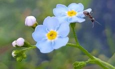 令人感动且充满快乐的心情所充斥的句子