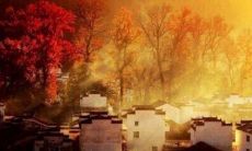 表达极度快乐心情的句子，让你眉开眼笑，意气风发