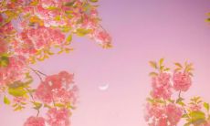 「浪漫甜蜜，感动心灵——2022年最佳情话大赏」