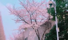 罕见的取暖姿态：用温柔治愈伤痛的短语