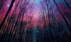 当友情不再，这句子令人感受到破碎的心情