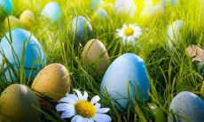 用于祝福家人、朋友和亲人的值得收藏的精美复活节祝福语汇总