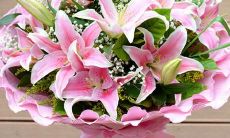 如何适当回复病患的问候短信：让他们感到温暖和关怀的有益建议