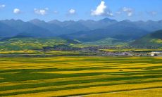 十条激励人心的英语句子，帮助您迈出成功的第一步！